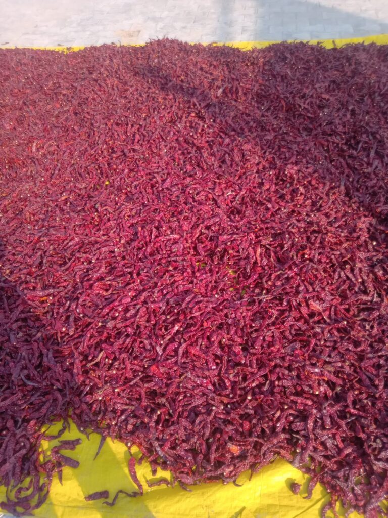 RShreeji Masala